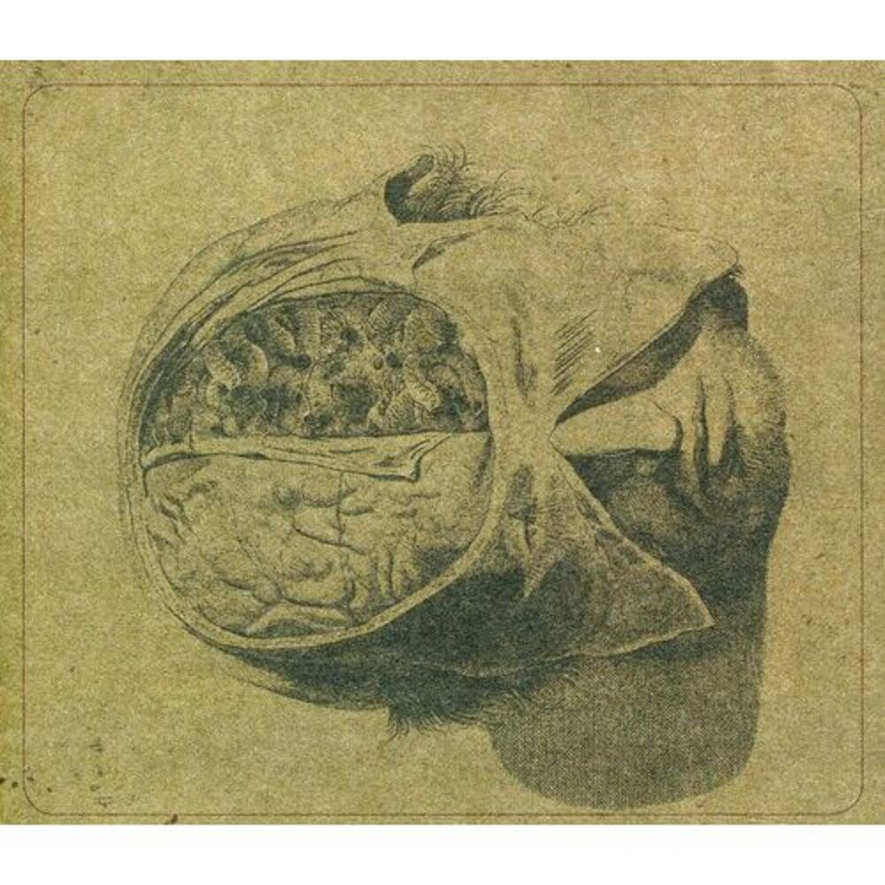 Farsot - Insects  CD